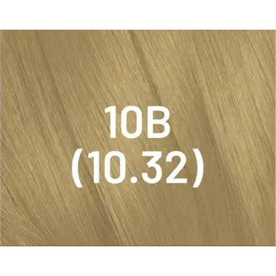 SCREEN Dorado 10 min Color Cream 100 ml